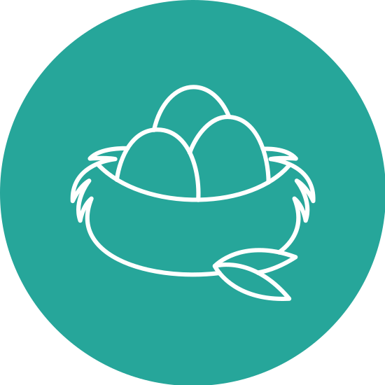 nest icon design 