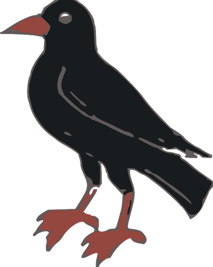 crow illustration