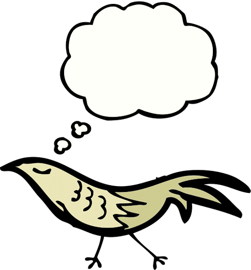 bird cartoon bird cartoon素材 - canva可画