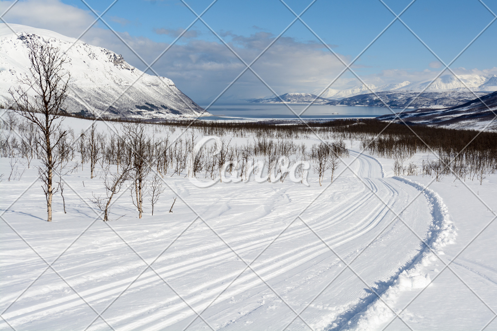 冬天户外雪寒冷冬季运动挪威自然摄影