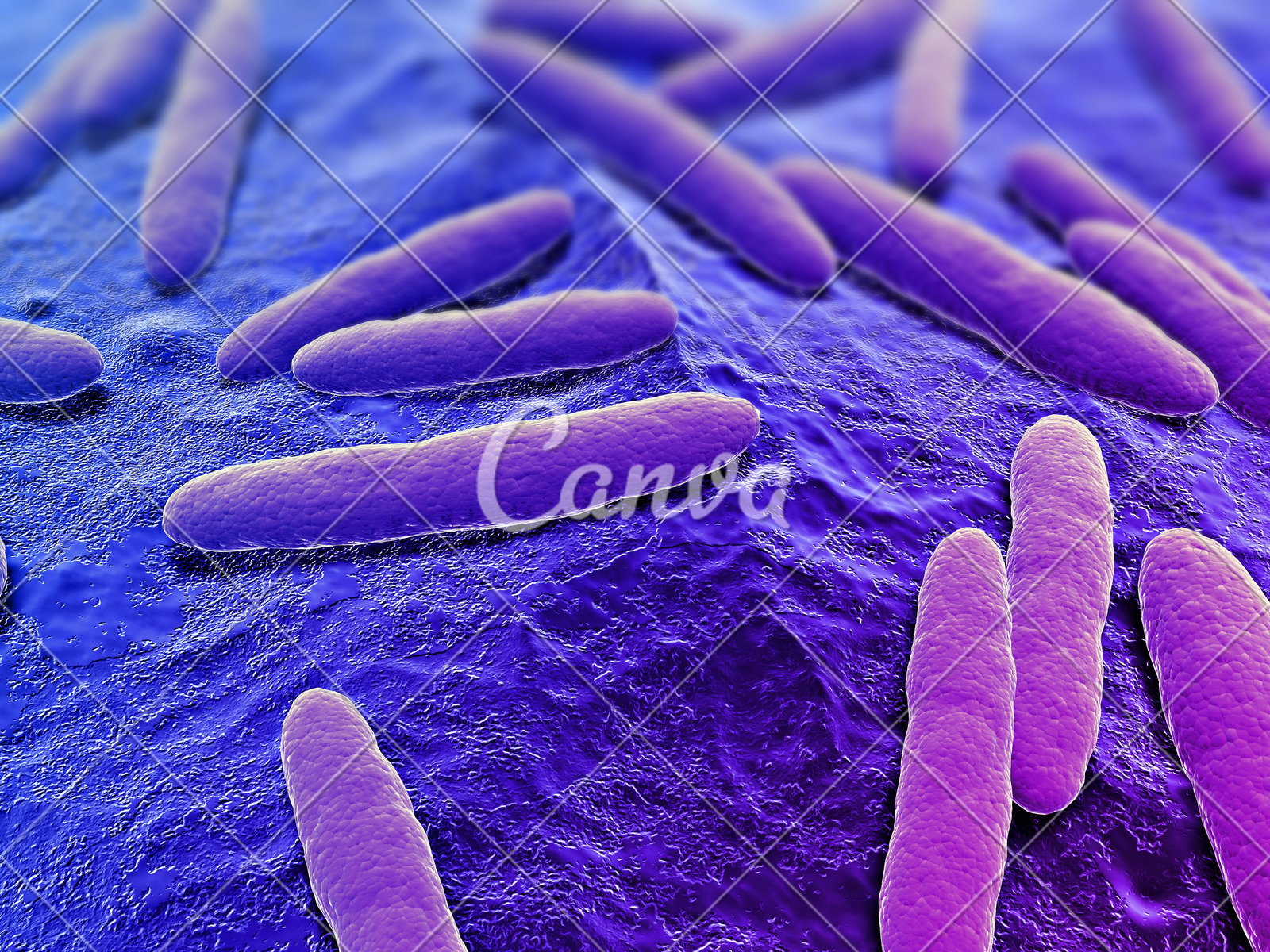 細胞細菌生病科學實驗彩色圖片健康保健顯微鏡病毒微生物學瘟疫