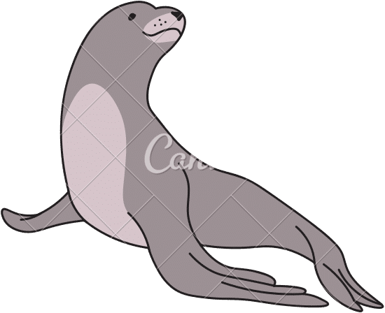 Basic Fully Lined Animal Sea Lion素材 Canva可画