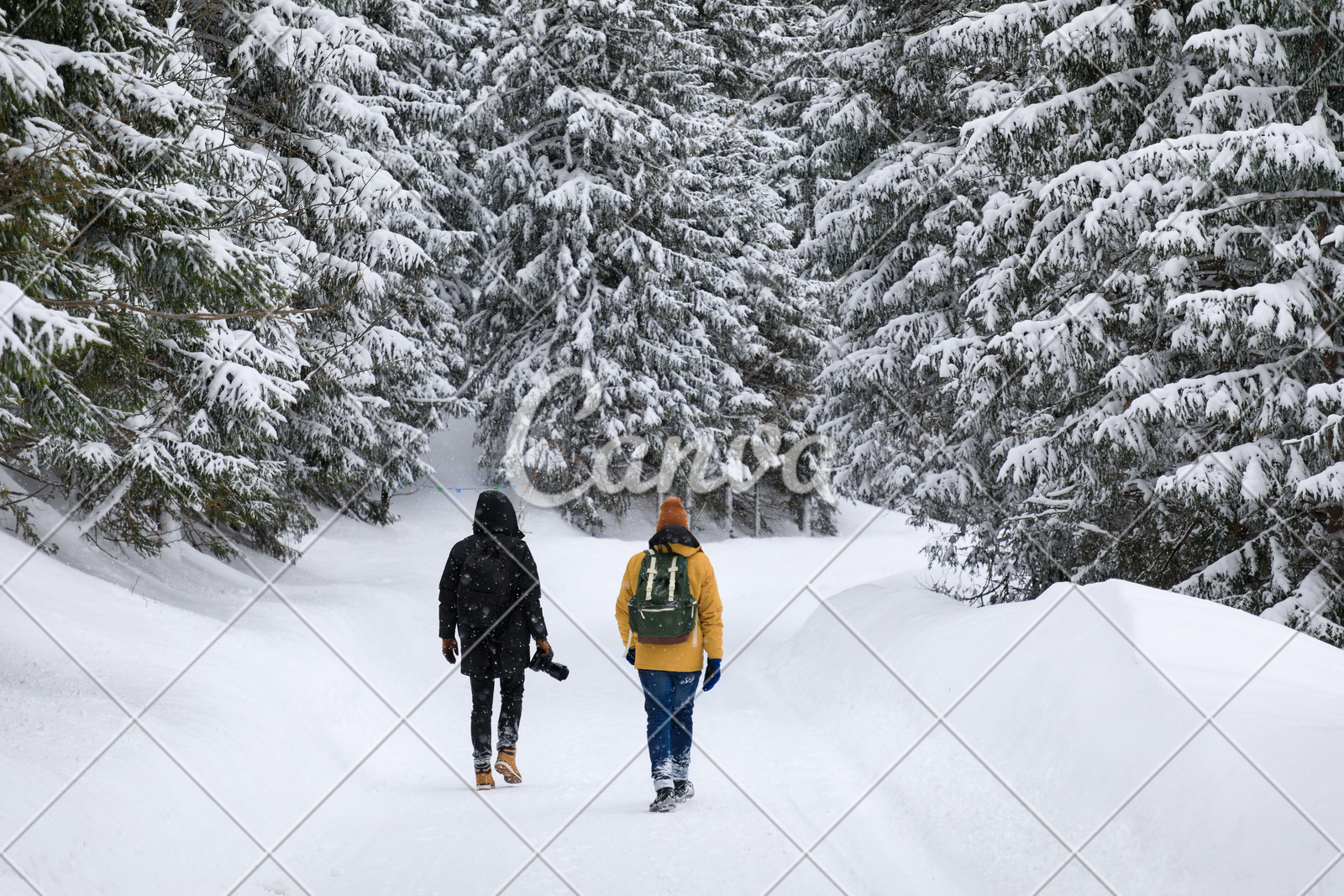 男人森林冬天户外白色风景度假相机摄影师雪图片