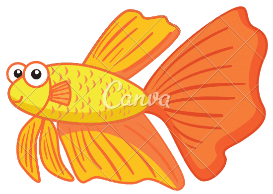 cartoon betta fish