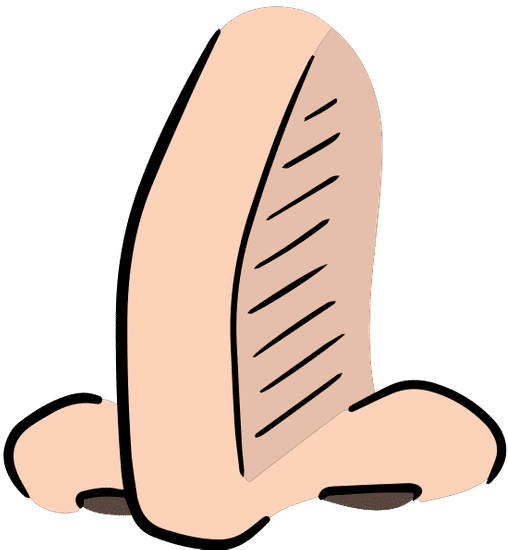 cartoon human nose