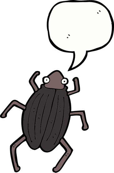 bigblack bug图片