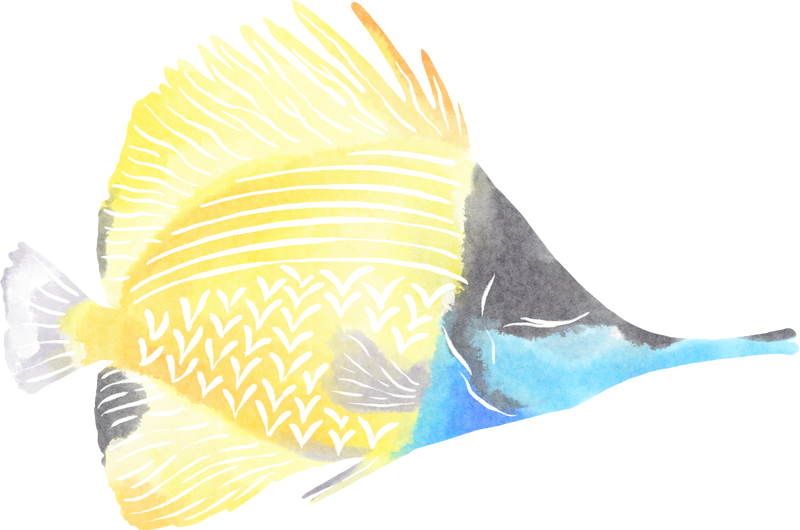 动物梦幻插画唯美彩色水彩清新鱼类水彩插画游动图片