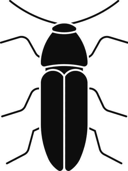 黑甲虫素材 