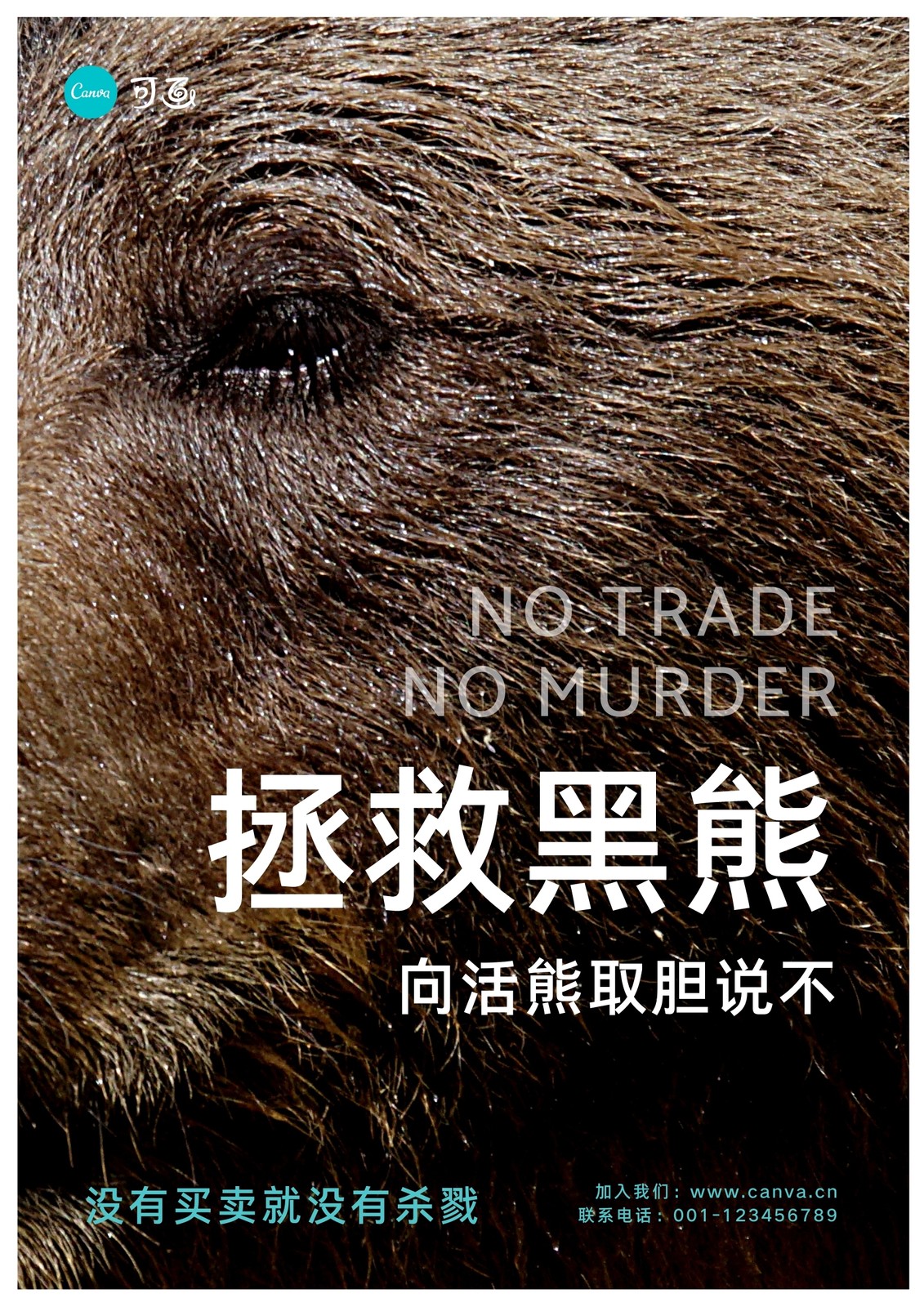 白黄色黑熊照片宣传公益中文海报