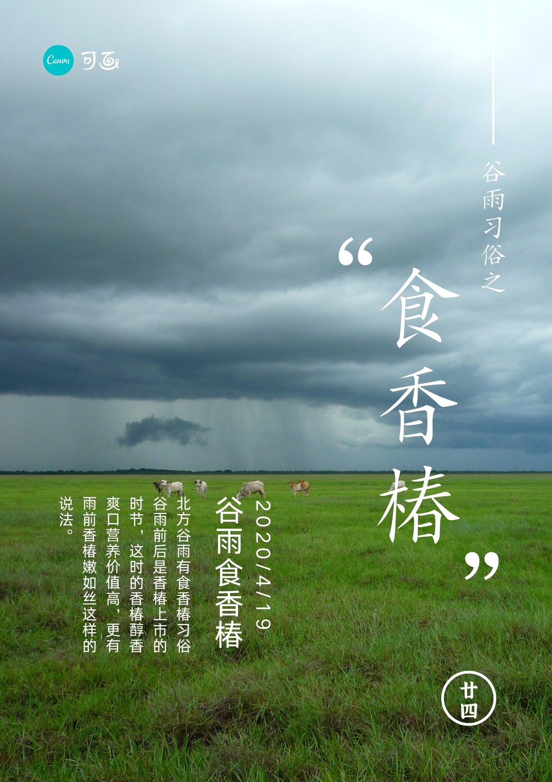 蓝绿色乌云草原谷雨节气照片中文海报