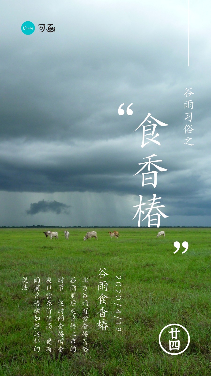 蓝绿色乌云草原谷雨节气照片中文手机海报