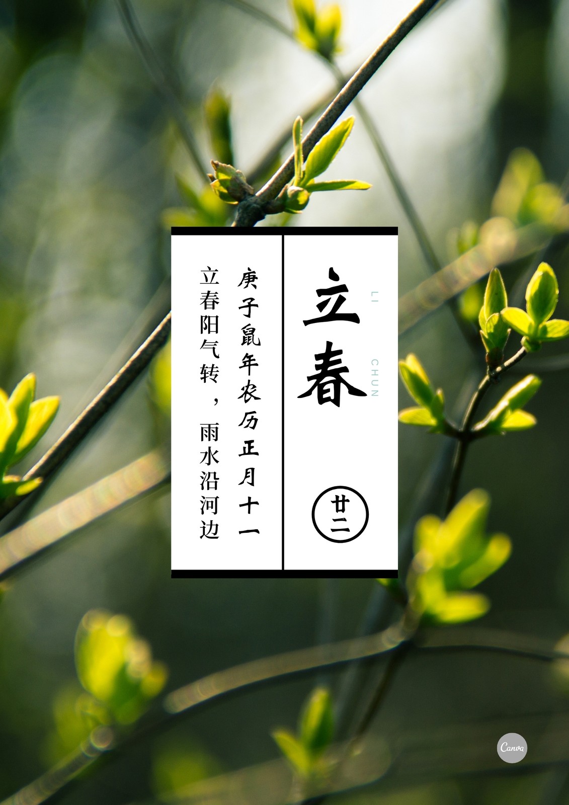 绿色树枝嫩芽立春节气创意中文海报