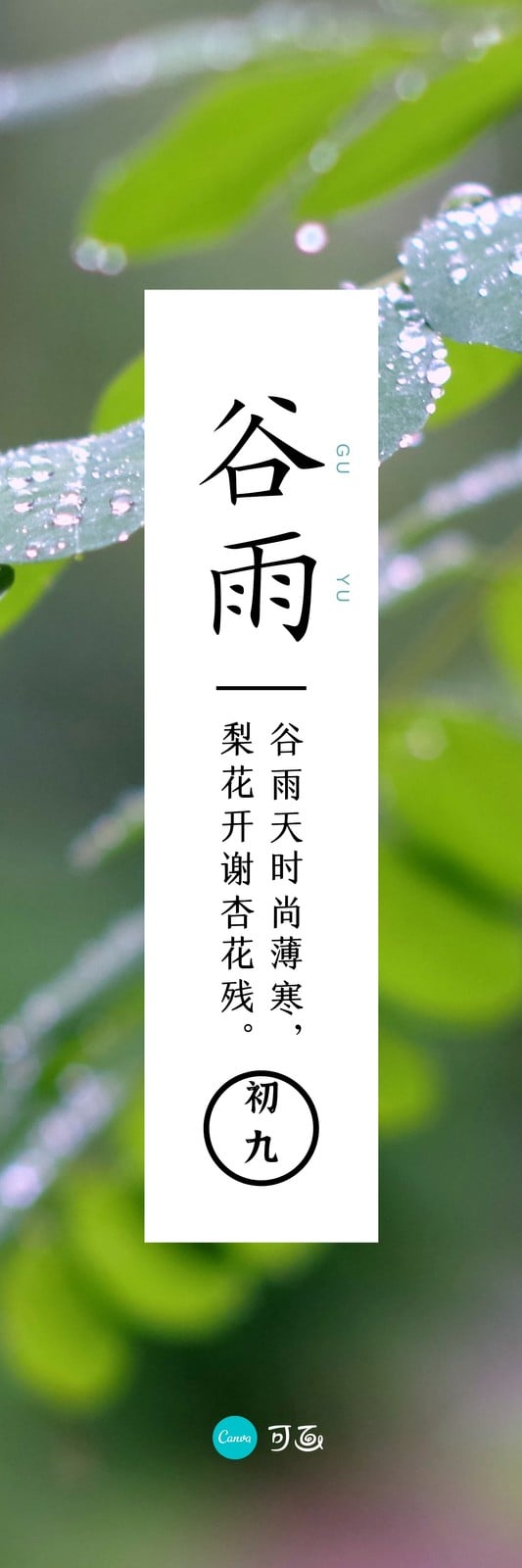 绿色树叶露珠谷雨节气照片中文书签