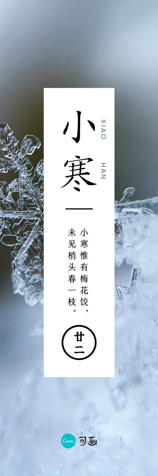 蓝色雪花小寒节气照片中文书签