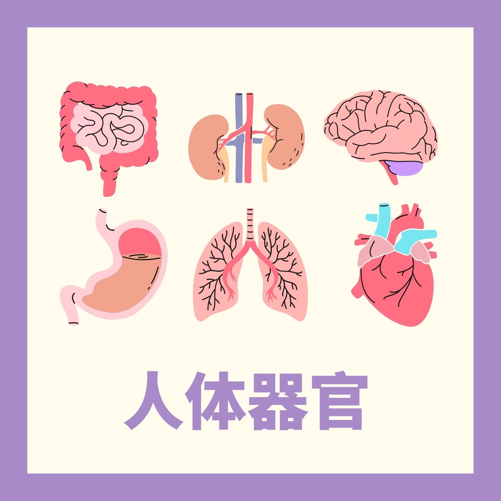 人体器官设计图__医疗保健_生活百科_设计图库_昵图网nipic.com
