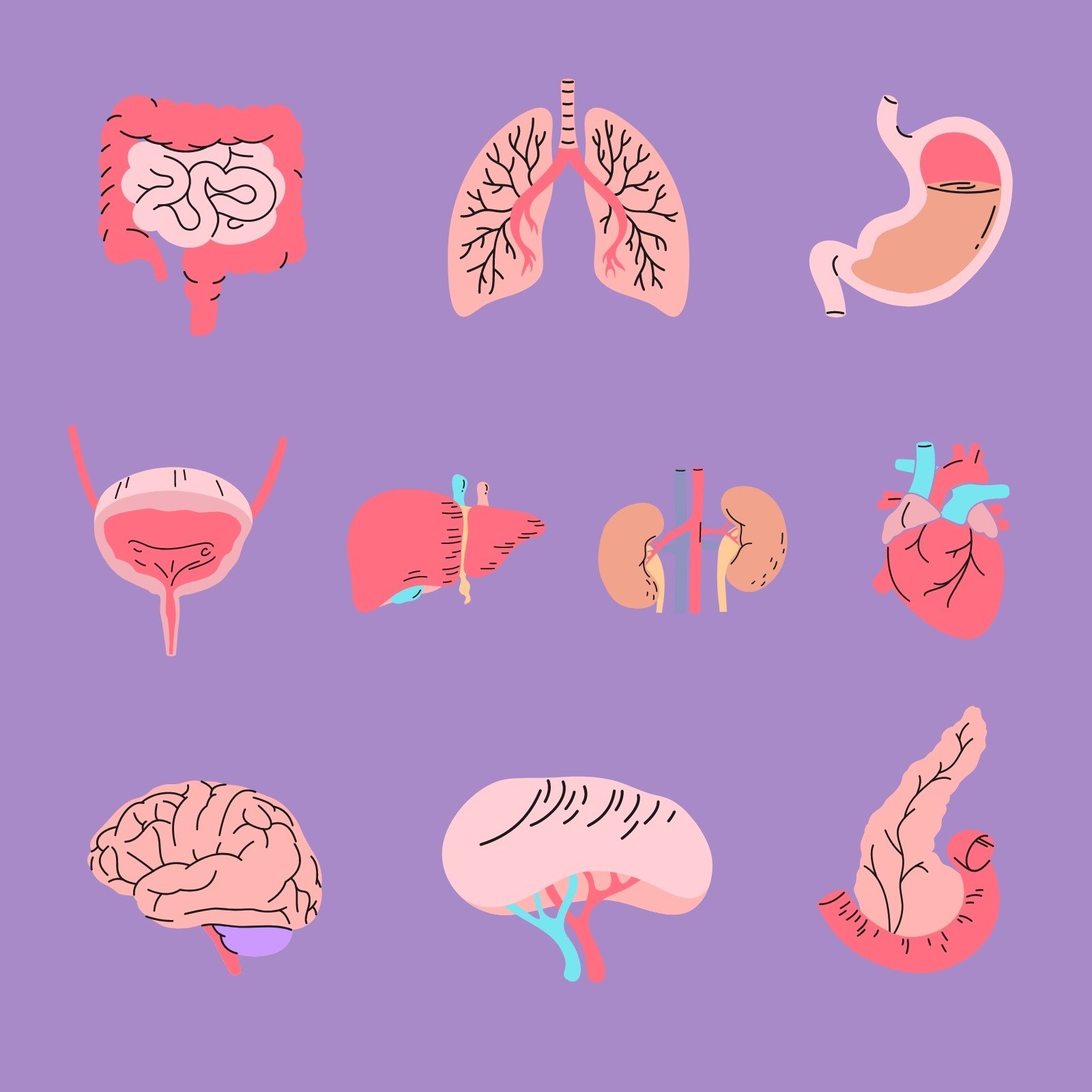 人体器官内脏健康教育插画元素