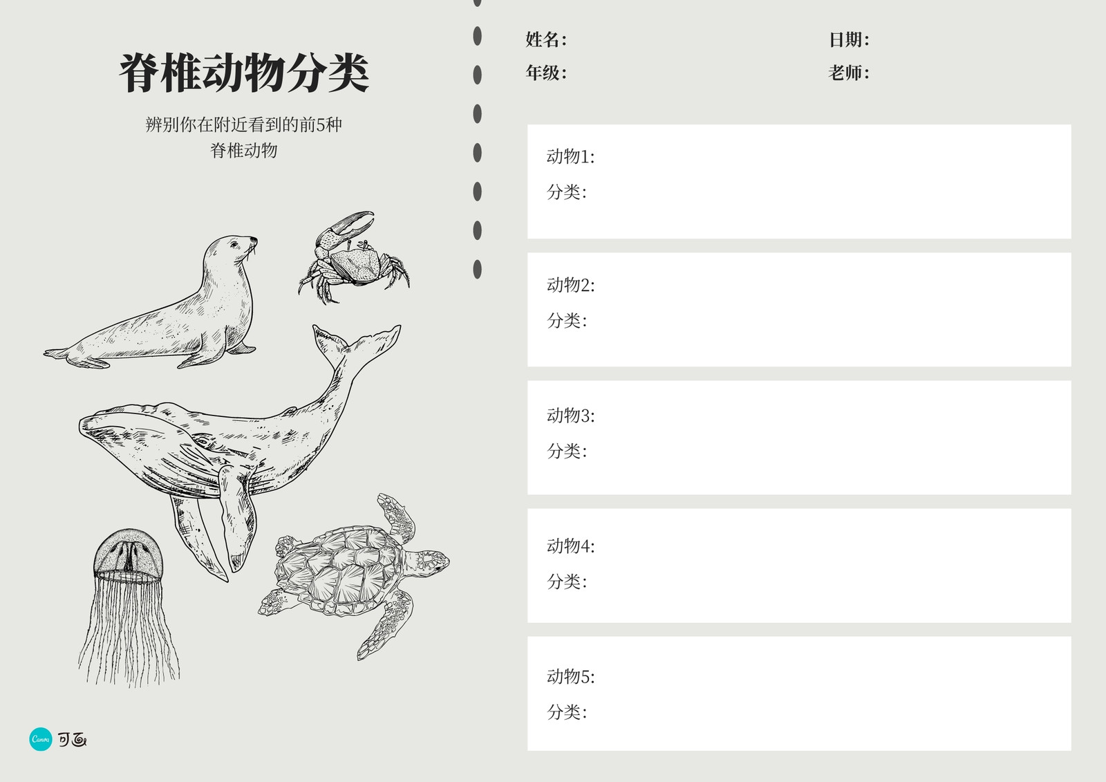 灰白色手绘动物插图脊椎动物分类表简洁交流中文图表 模板 Canva可画