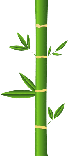 竹类植物图标bamboo Plant Icon素材 Canva可画