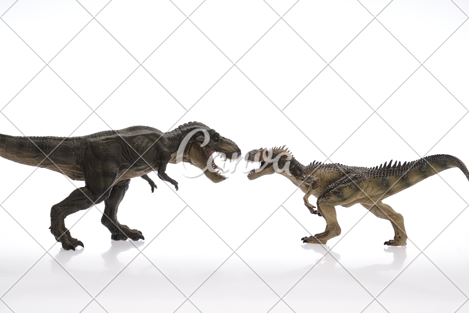 动物摄影霸王龙恐龙捕食历史