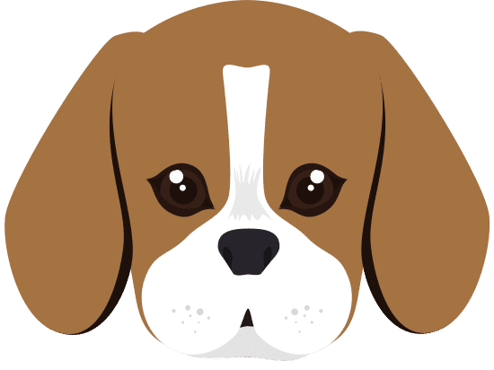 小猎犬品种的狗卡通小猎犬品种的狗卡通beagle Breed Dog Cartoon Beagle Breed Dog Cartoon素材 Canva可画