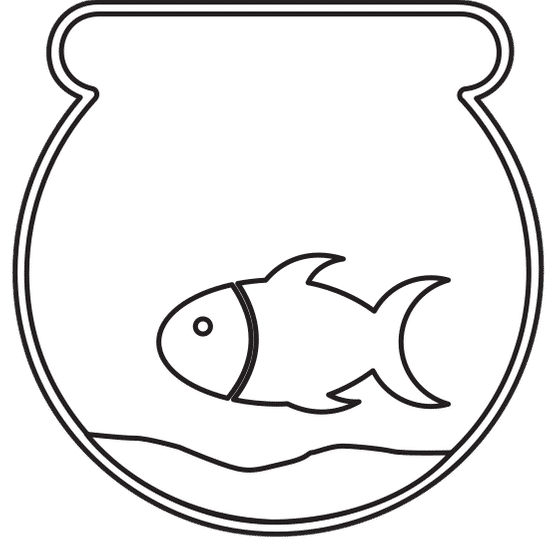 鱼缸 fish bowl