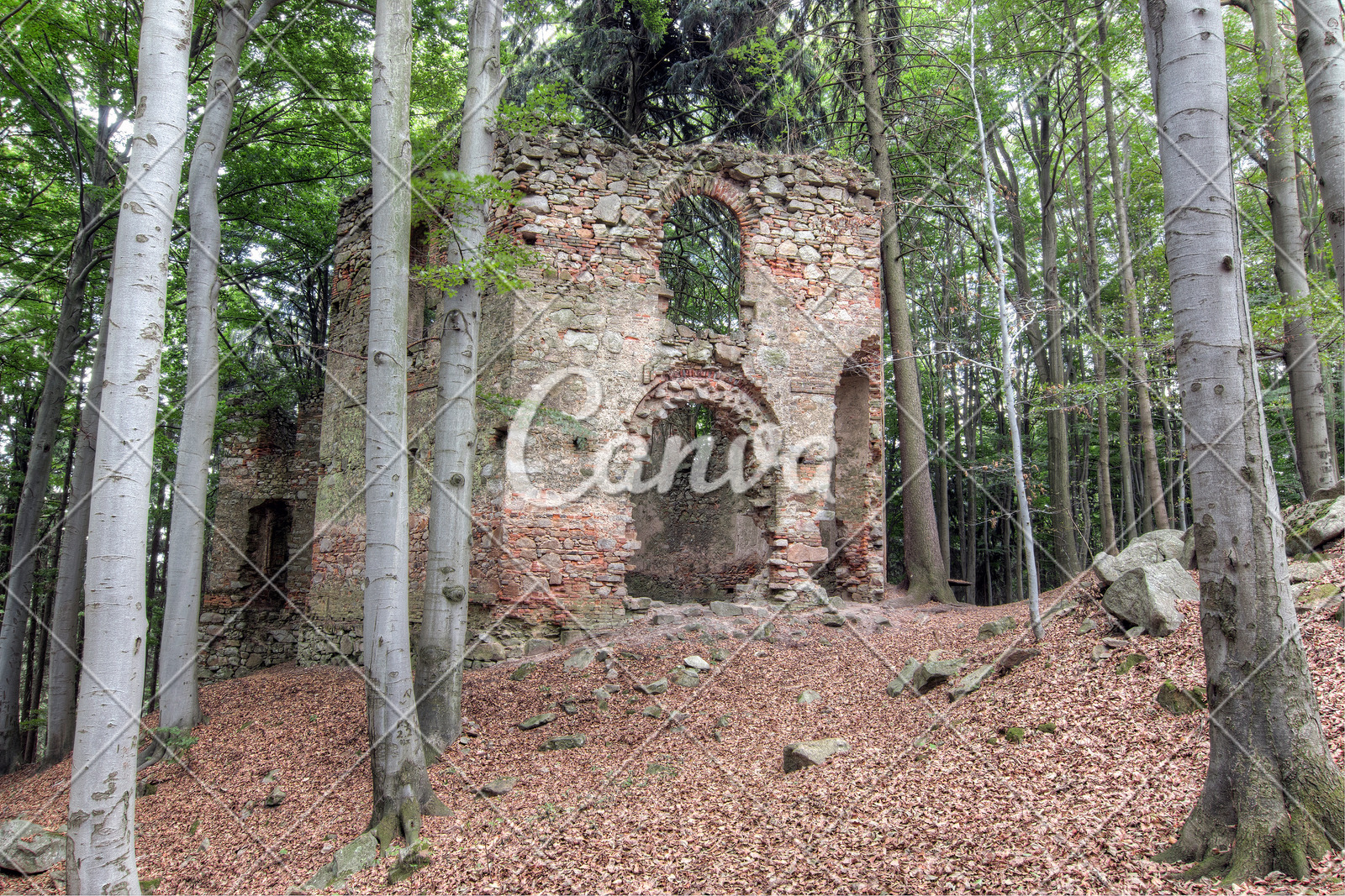 森林户外树林巴洛克风格废墟捷克宗教小礼拜堂摄影历史图片