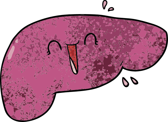 Happy Liver Cartoon - 素材- Canva可画