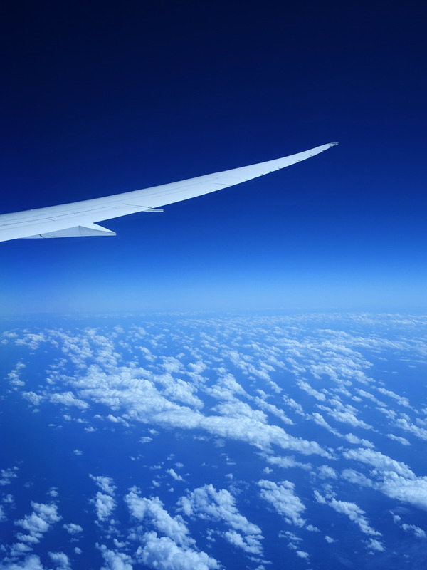 白色蓝天翅膀飞机飞行喷射速度运输图片