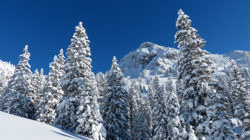 天空蓝色冬季雪景雪寒冬树木山脉冷杉山峦