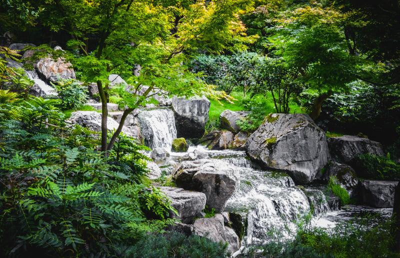 绿色森林户外风景石头山水画树大自然瀑布绿