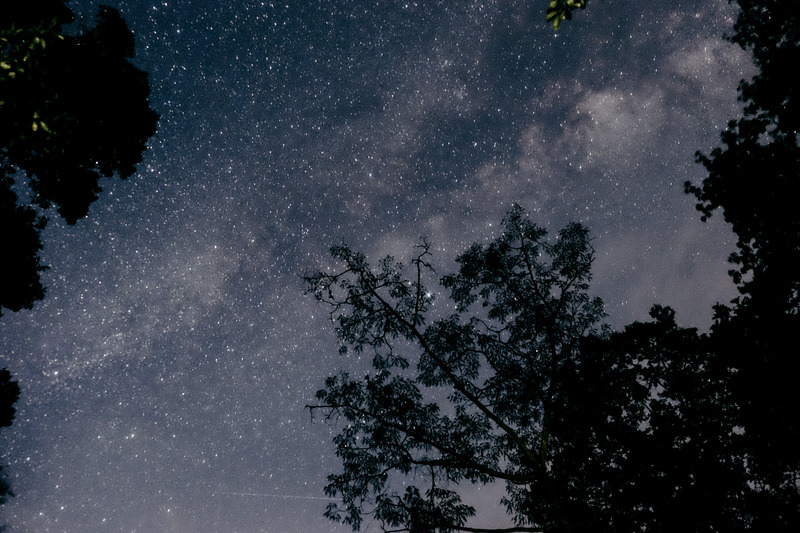 星座星空風景星星太空樹銀河系黑夜夜空夜晚