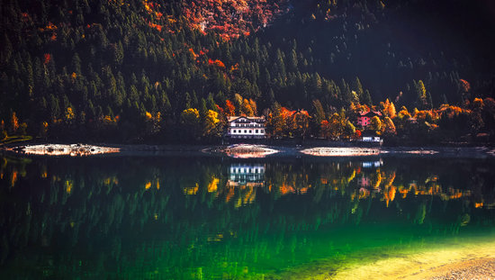 湖中树木的倒影 reflection of trees in lake