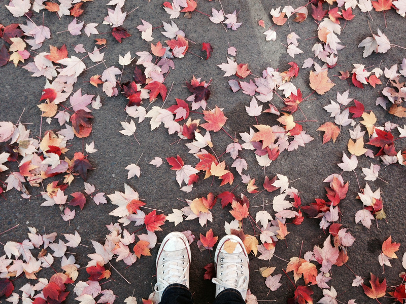 户外叶子榜样图案树叶大自然帆布鞋落叶枫树形状图片