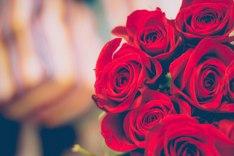 花瓣玫瑰漂亮花玫瑰花花卉蔷薇彩色花朵红玫瑰