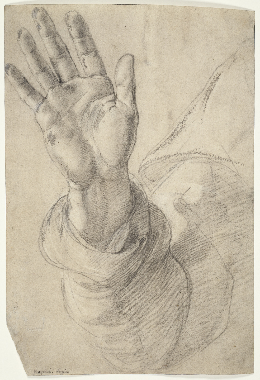 素材素描画绘画手文艺复兴拉斐尔名画手掌手臂图片