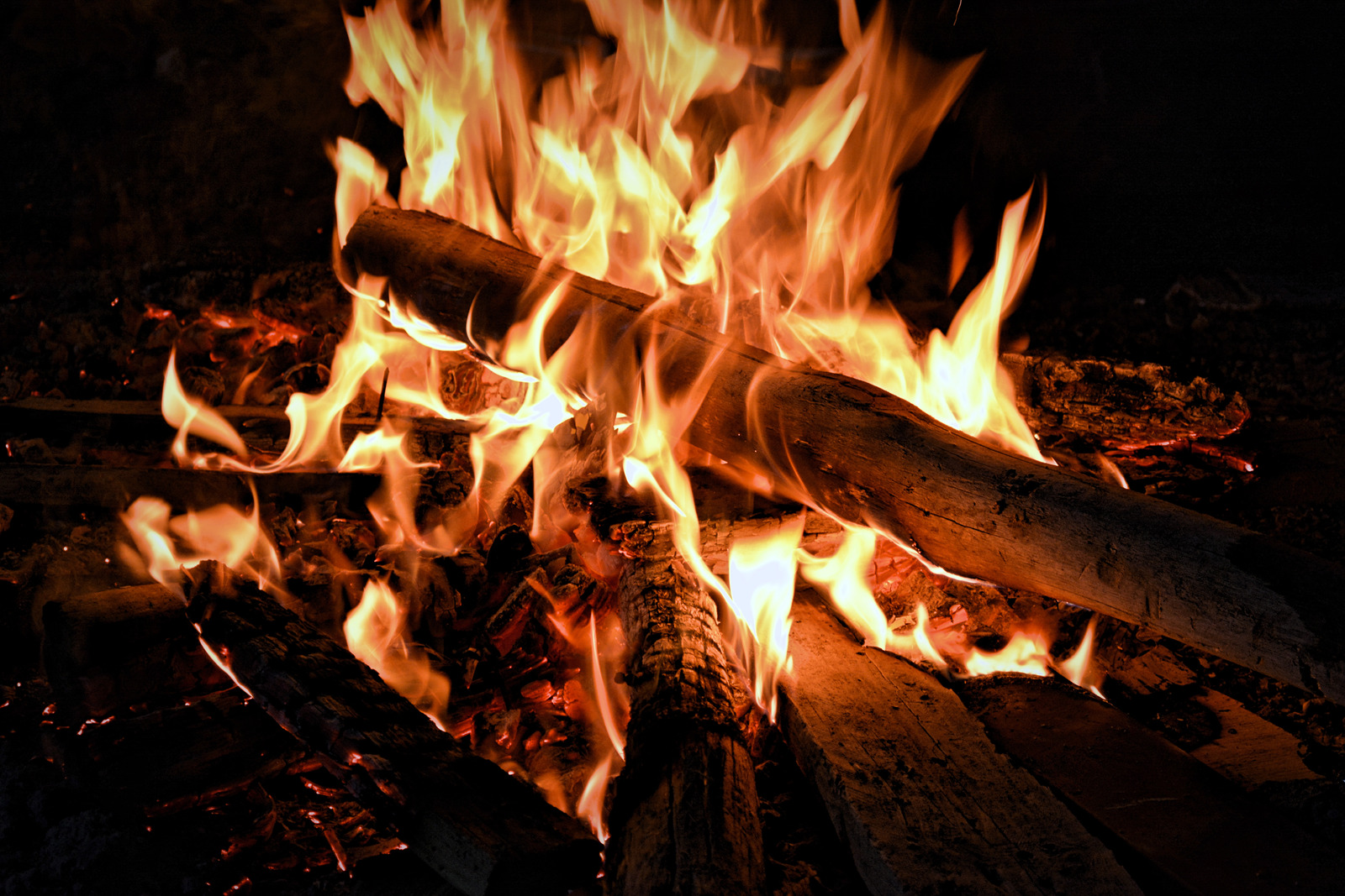 户外颜色火焰火树木热情篝火特写室外柴火