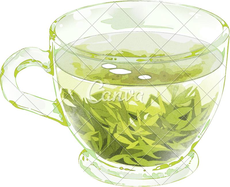 绿色饮料手绘彩色水彩茶杯清新饮品沏茶茶水高清图片 canva中国
