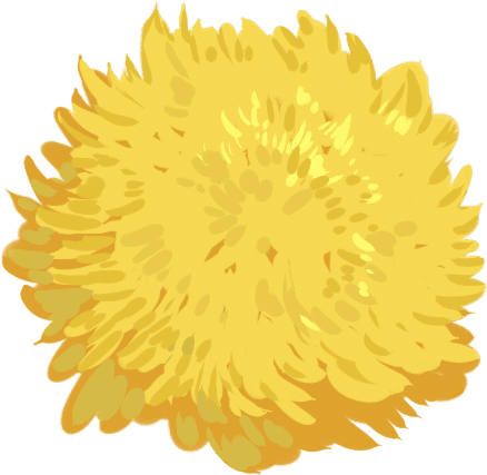黄色植物菊花插画花卉彩色花朵清新秋菊写实插画图片