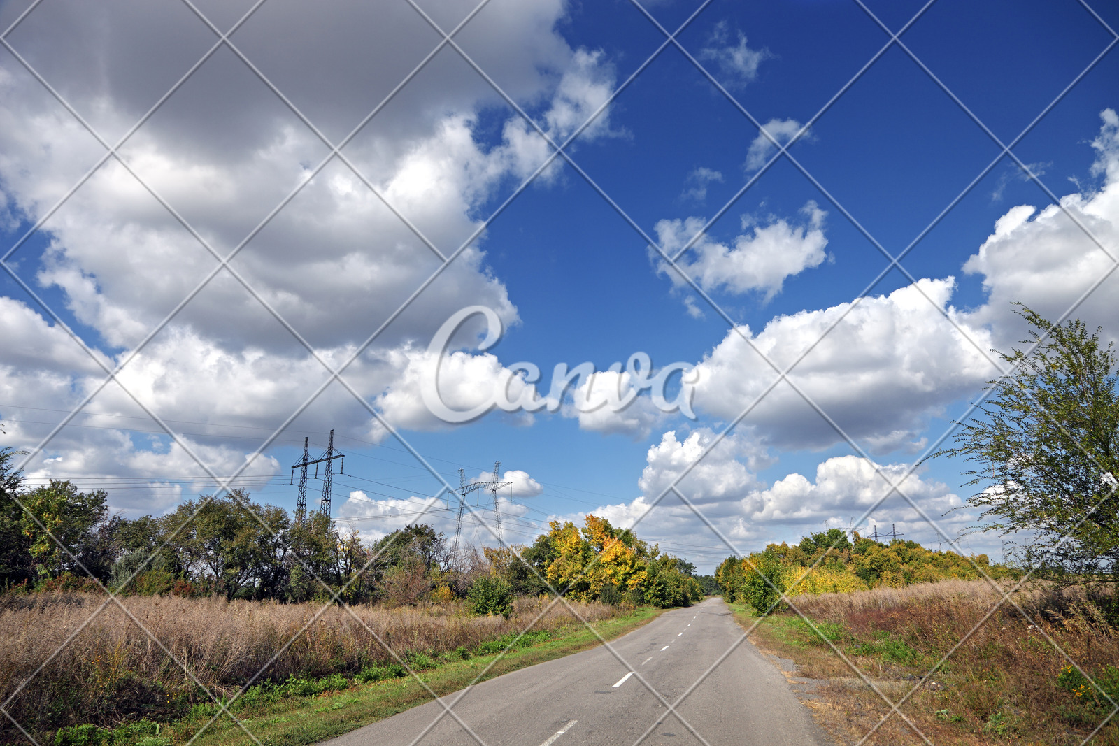 背景天空蓝色风景公路秋天树线条泥土透视图图片