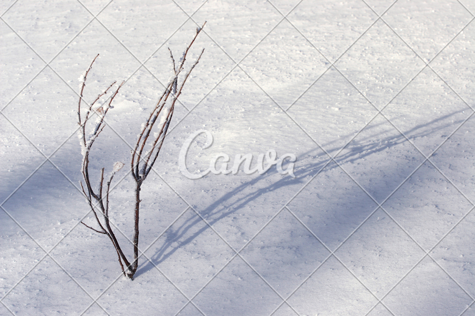 背景冬天白色雪白色背景寒冷阴影自然美彩色图片自然图片