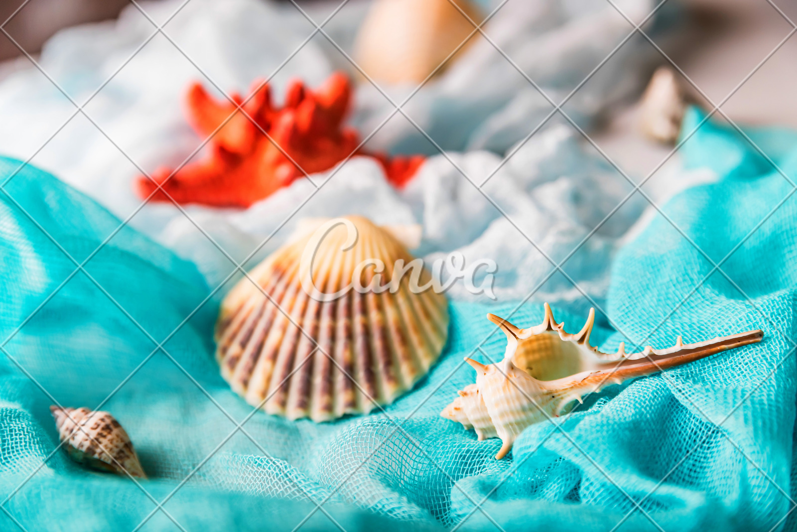 贝壳背景蓝色海螺海滩形状舵纱布健康保健式样