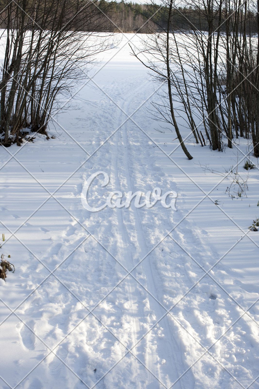 运动冬天户外雪彩色图片瑞典摄影
