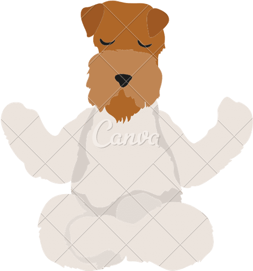 Dog Poses and Exercises - 素材 - Canva可画