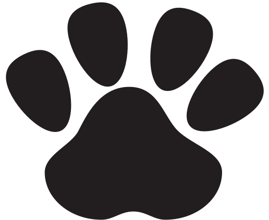 狗的足迹设计狗的足迹设计dog Footprint Design Dog Footprint Design素材 Canva可画