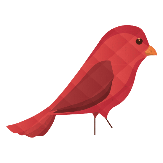 红鸟红鸟red Bird Red Bird素材 Canva可画