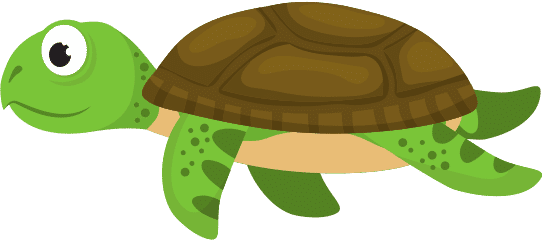 龟动物 turtle animal
