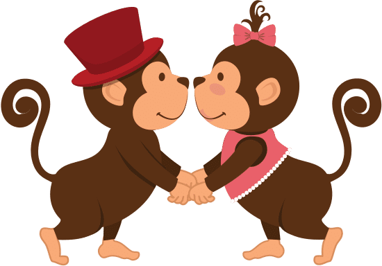 猴子夫妇猴子夫妇 monkey couple monkey couple