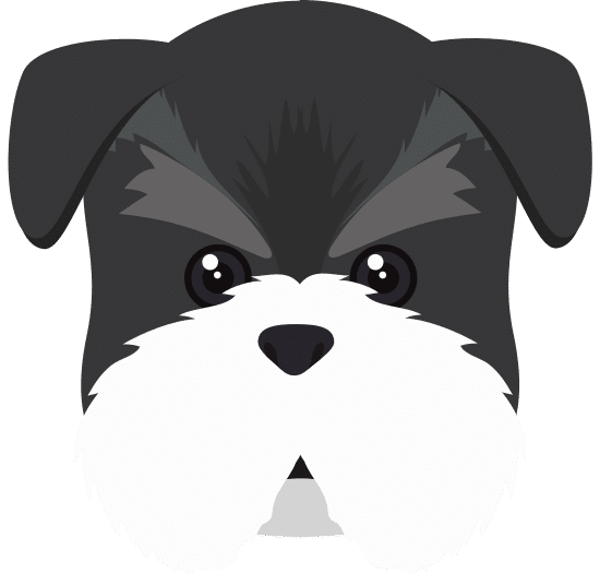 雪纳瑞狗卡通雪纳瑞狗卡通 schnauzer dog cartoon schnauzer dog