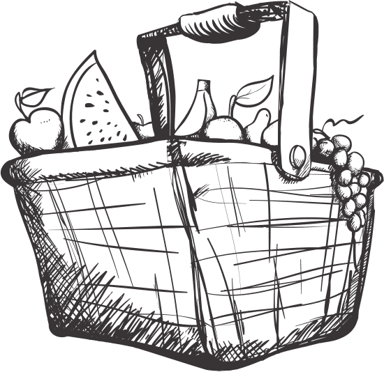 水果篮素描 fruit basket sketch