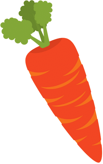 胡萝卜胡萝卜 carrot carrot